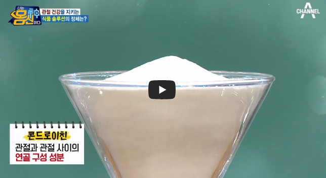 콘드로이친 효능 부작용 복용법