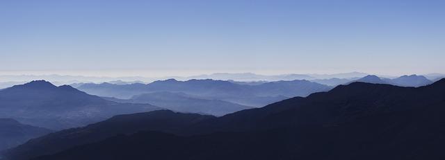 제수용 생선 종류 손질법 반건조