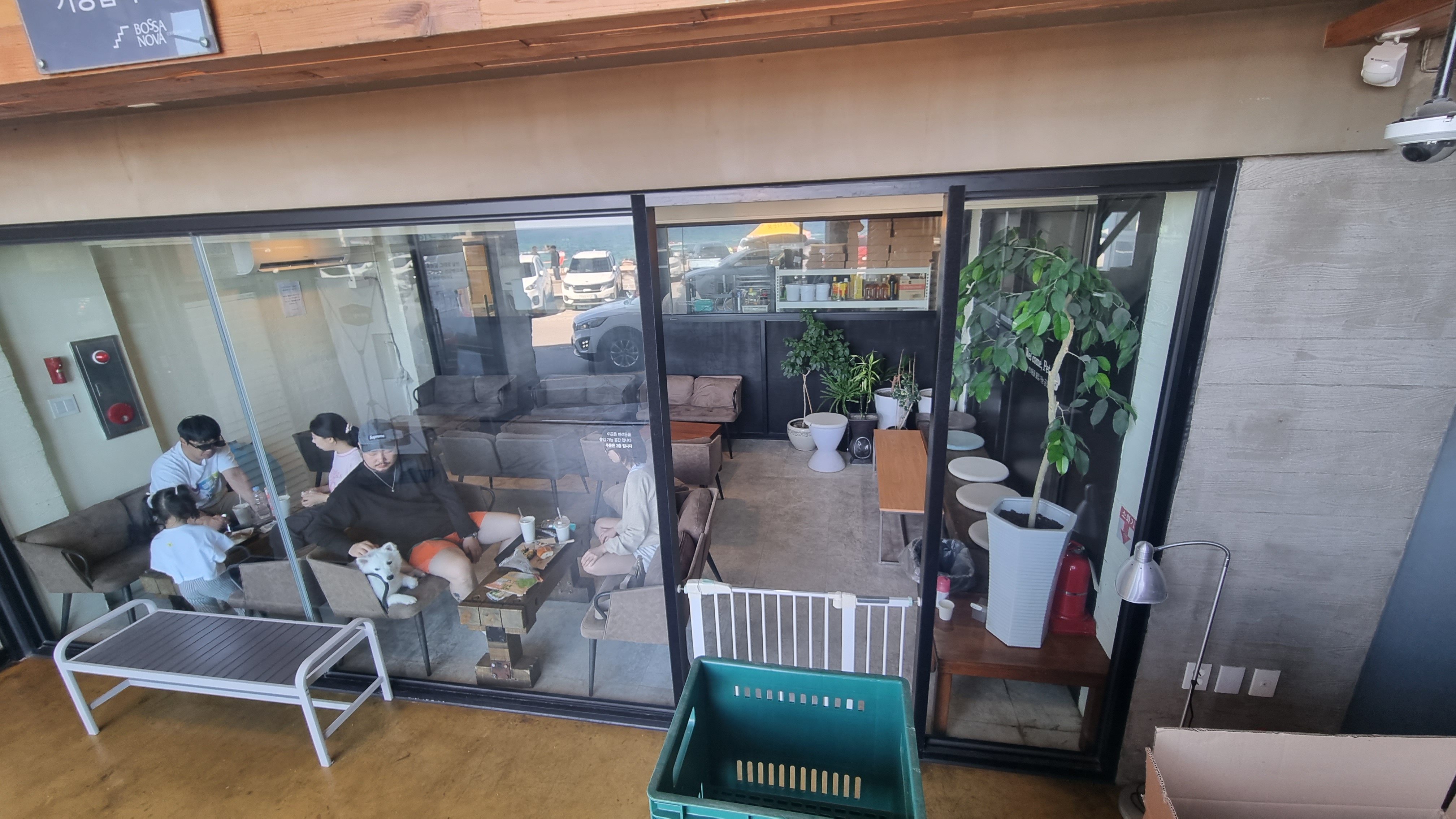 강릉 보사노바 - 카페 거리 카페 추천 애견 카페 안목 해변 가을 여행