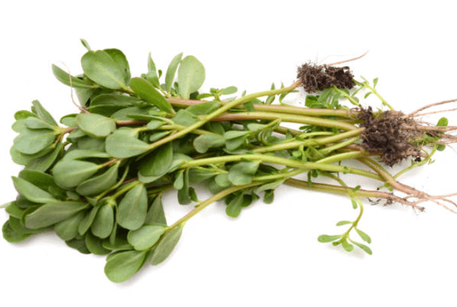 청명(淸明) 절기에 즐기는 봄나물 가이드