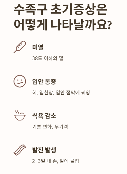 수족구 초기증상