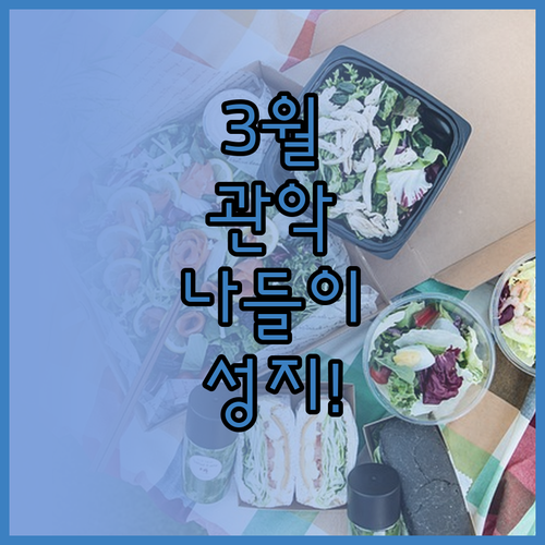 3월 서울 관악구 나들이 명소 낙성대..