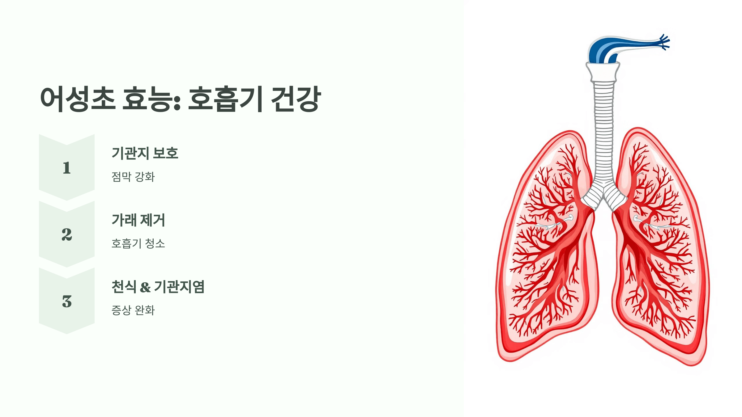 어성초 사진입니다.
