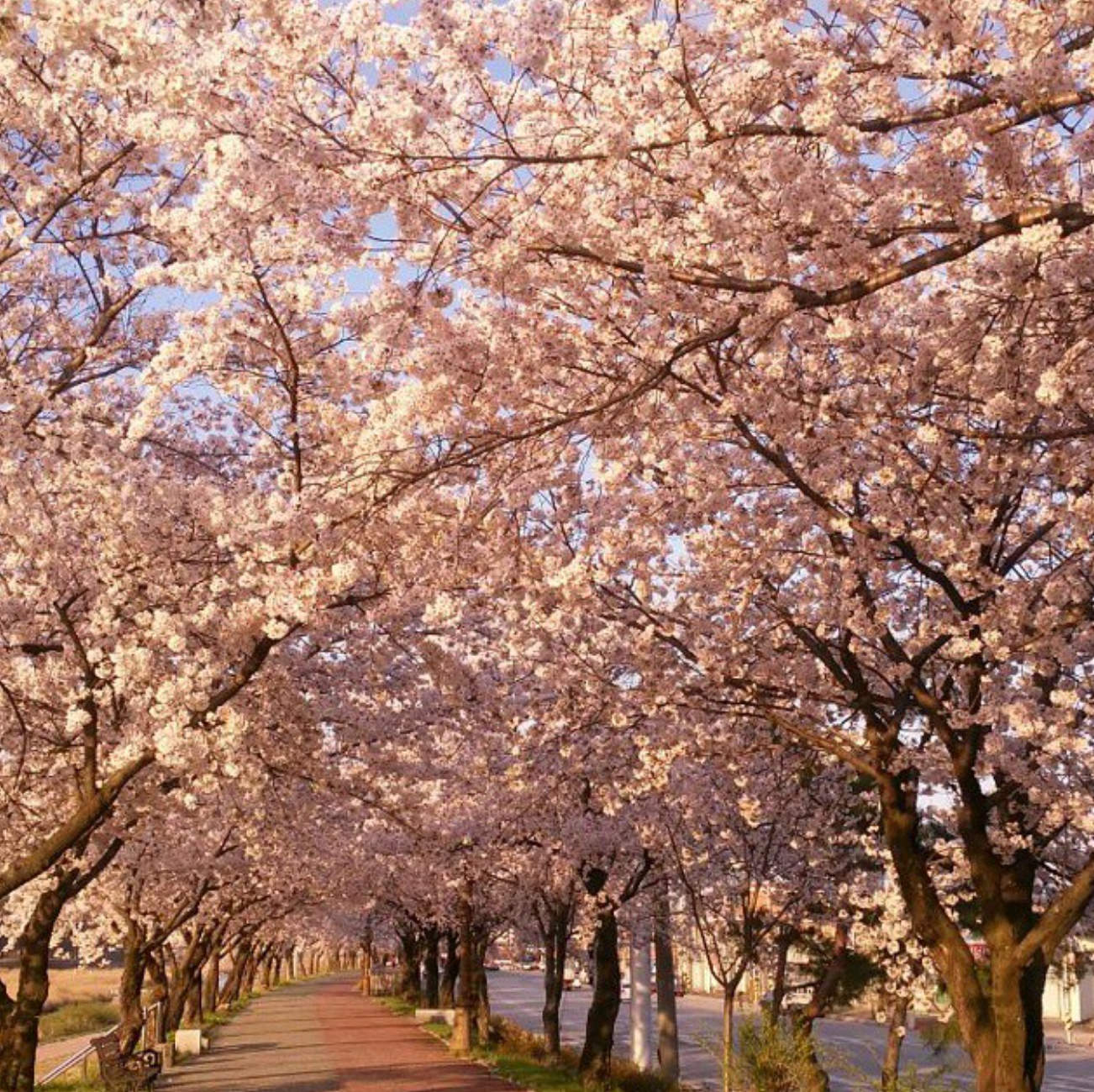 남원 가볼만한곳 베스트10