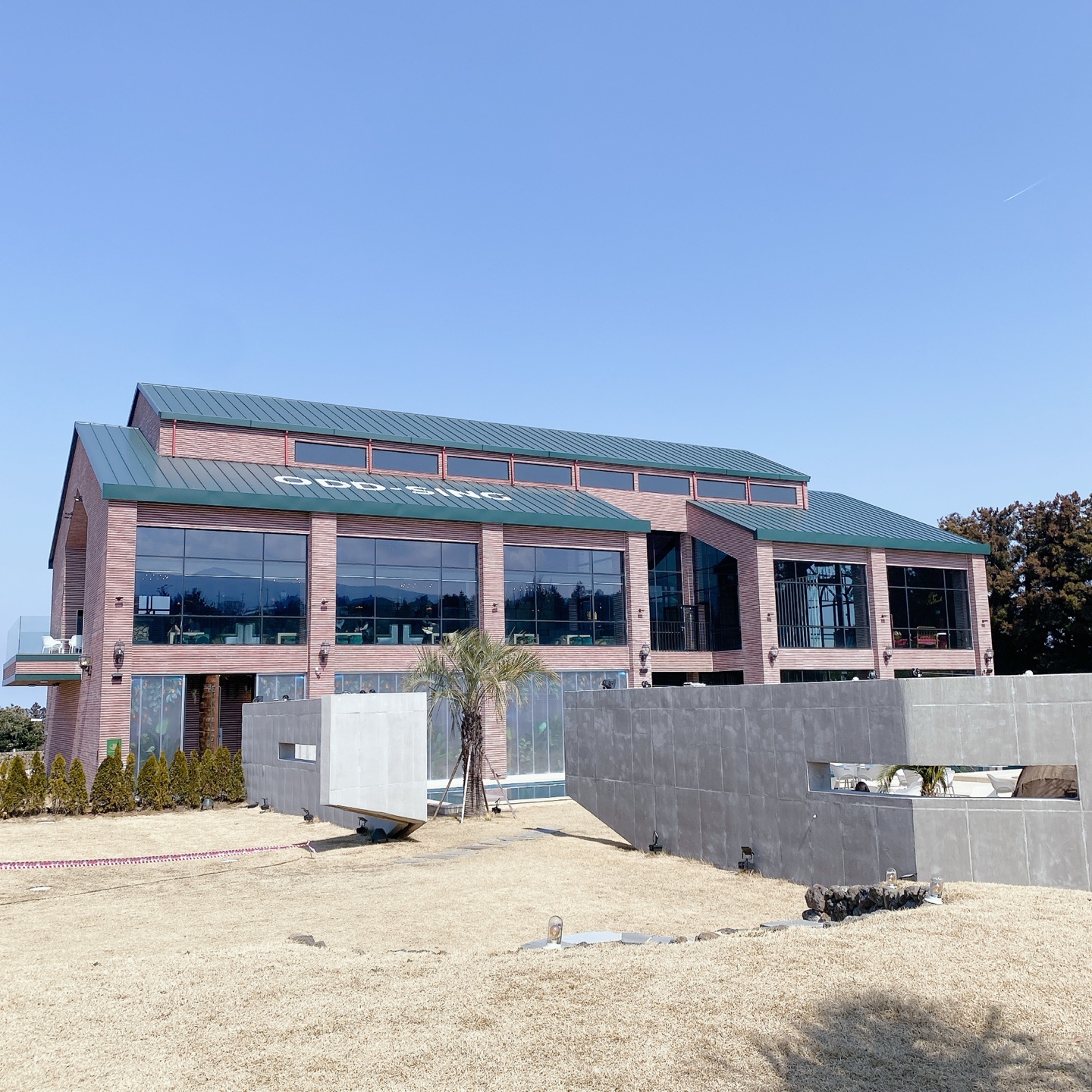 제주 오드씽