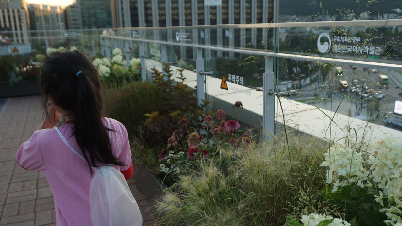 들꽃들과 아이가 노을진 금빛 하늘이 함께 사진에 담겼다