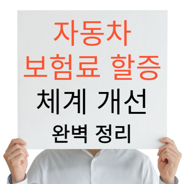 자동차 보험 할증 개선