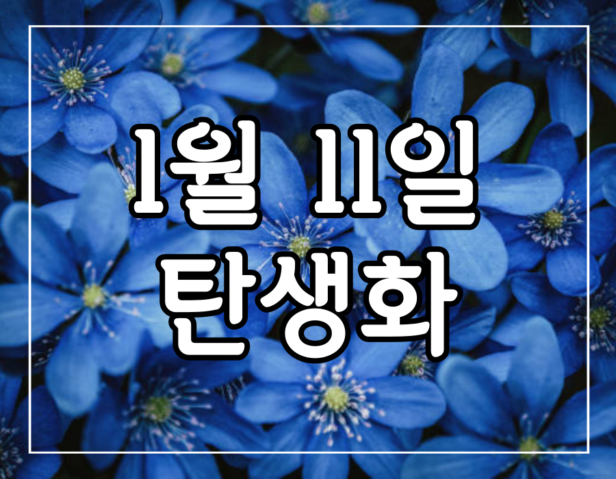이 이미지는 1월 11일 탄생화 노루귀 꽃말 포스팅에 대한 대표 이미지입니다.