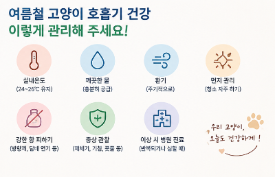 냥이들 재채기와 기침 원인 감기부터 병원 진료가 필요한 증상까지 총정리