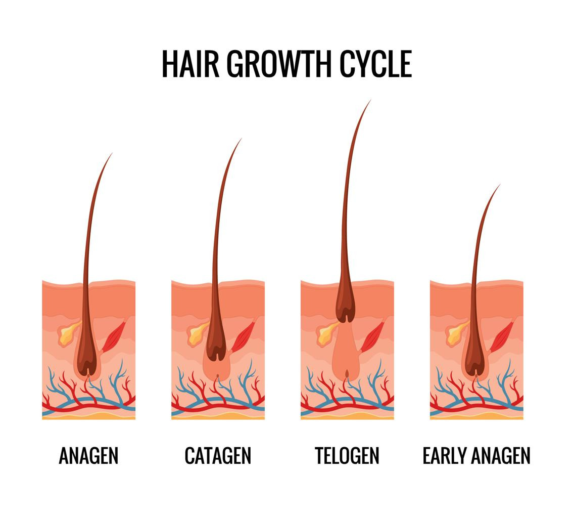 탈모약 종류 및 효과 부작용 대처방법 알아보기