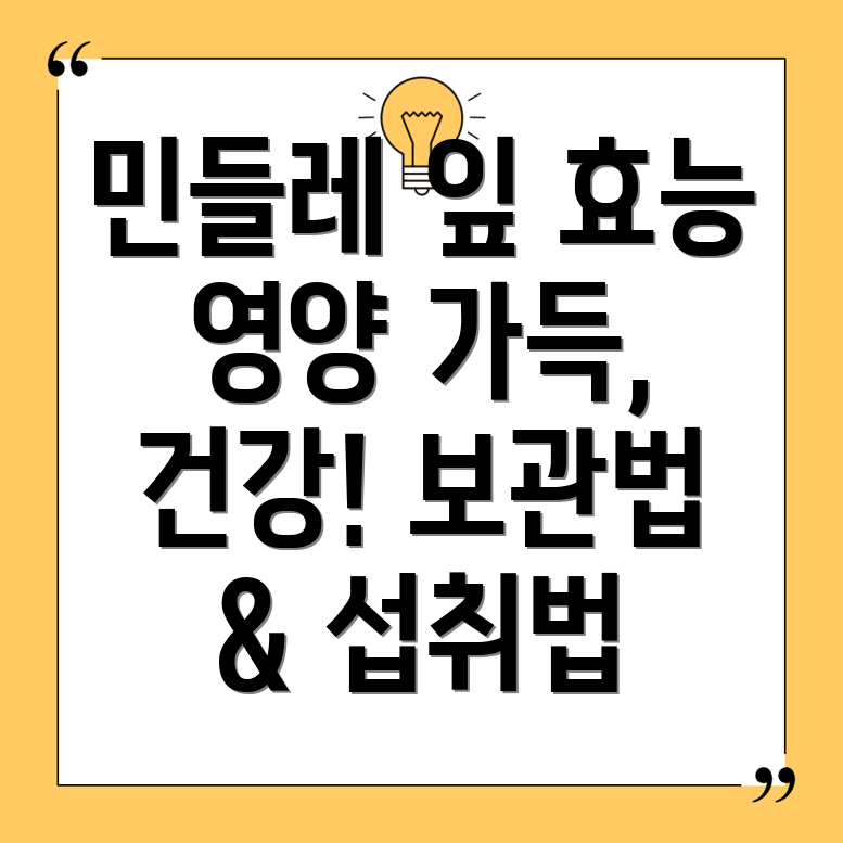 민들레잎