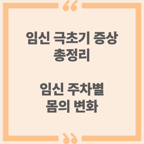 임신 극초기 증상 총정리 - 임신 주차별 몸의 변화