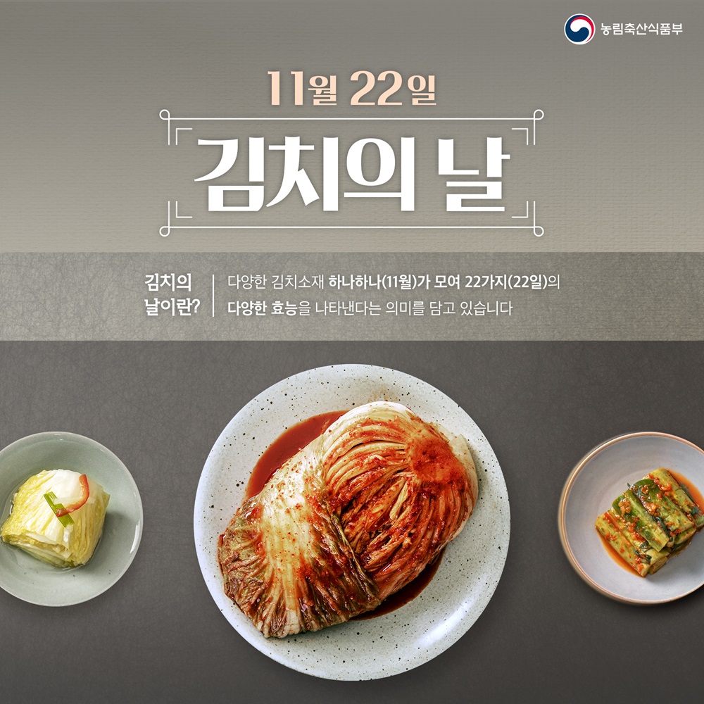 김치의 날 카드뉴스