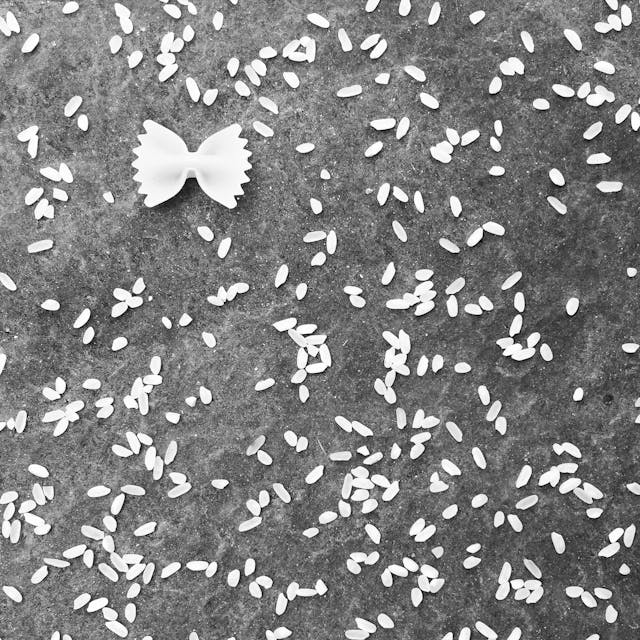 생-쌀과-나비-모양