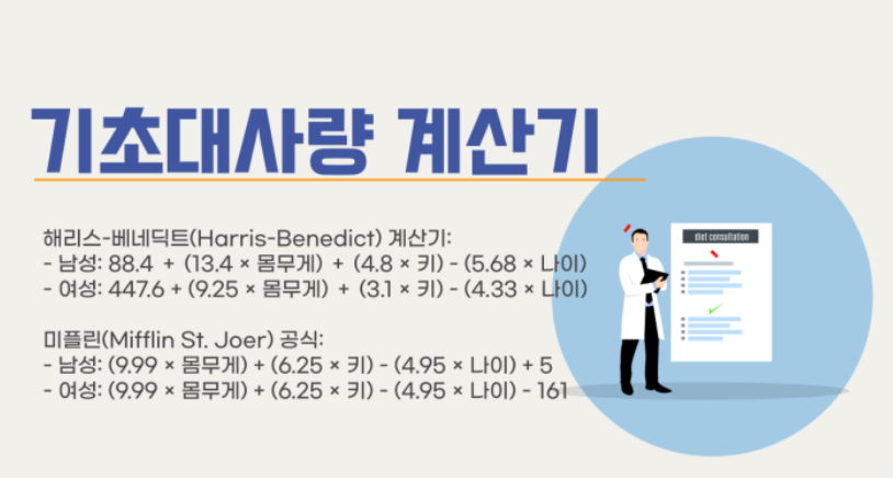 기초대사량 계산기