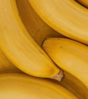 위궤양에 좋은 음식 영양제 식단