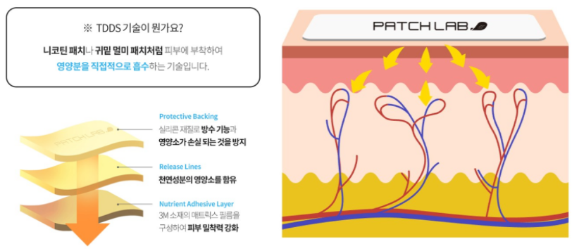 패치랩 내돈내산