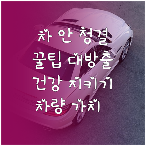 내 차 실내 청결 유지하는 꿀팁: 건..