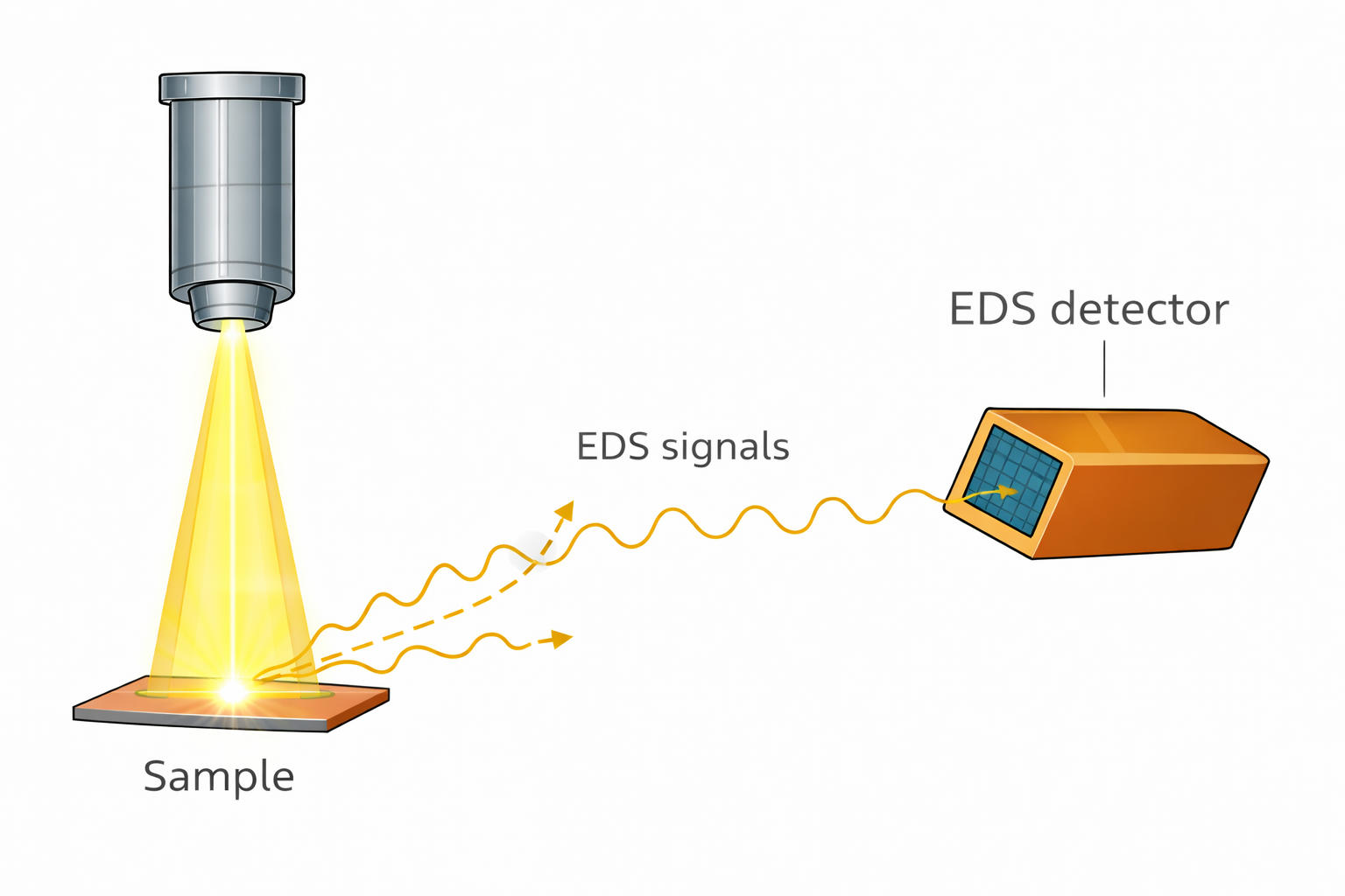 샘플에서 특선 X 선이 EDS 디텍터로 시그널이 가는 이미지