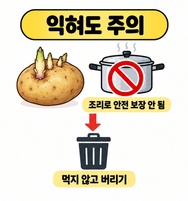 싹 난 감자와 금지 표시가 있는 냄비, 조리로 안전이 보장되지 않으며 버리라는 안내