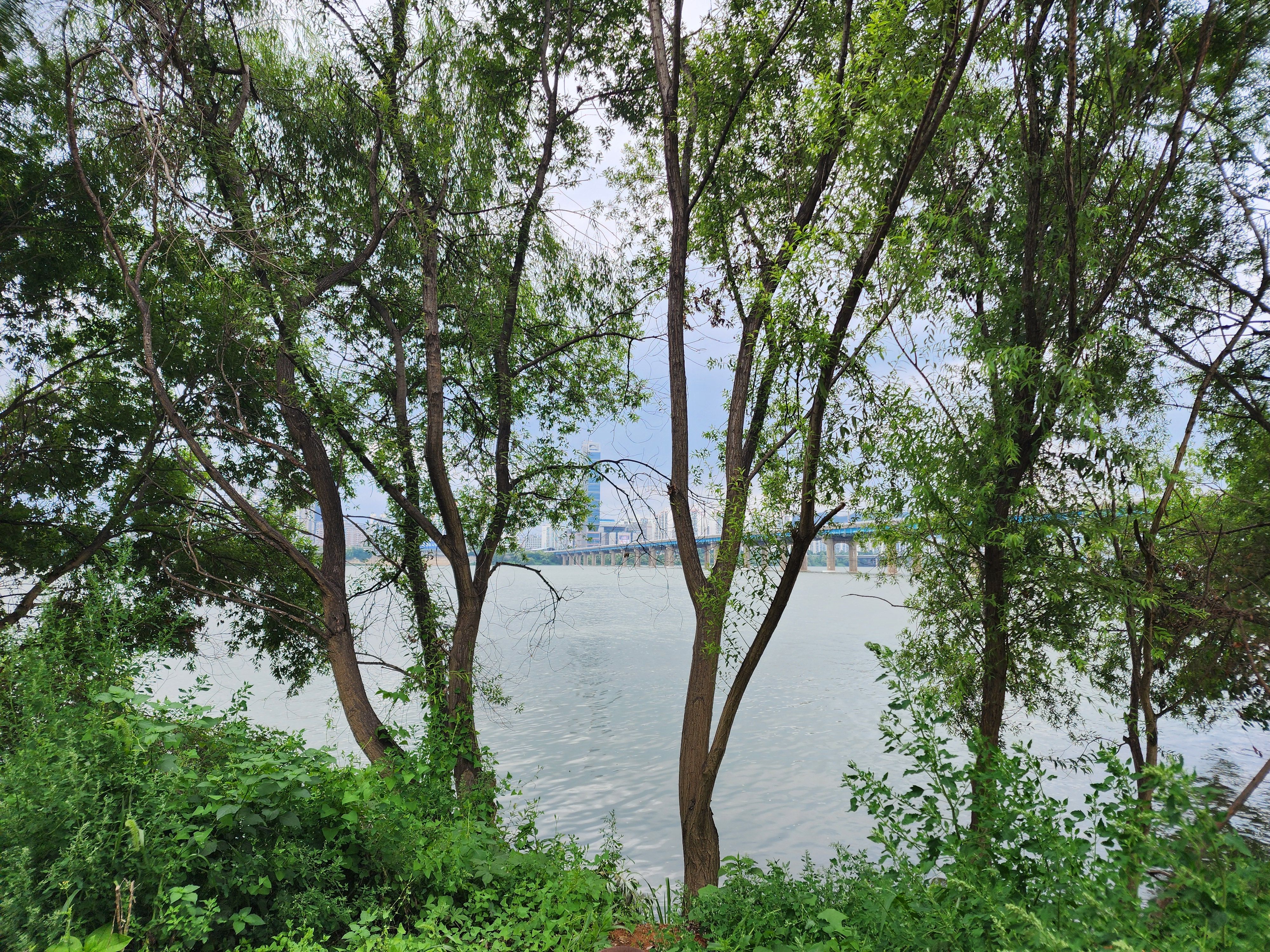 Alt 속성 문제 해결 설명 이미지