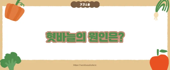혓바늘이 돋는 이유 (+빠른 완화법)