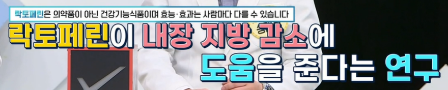 락토페린 효능