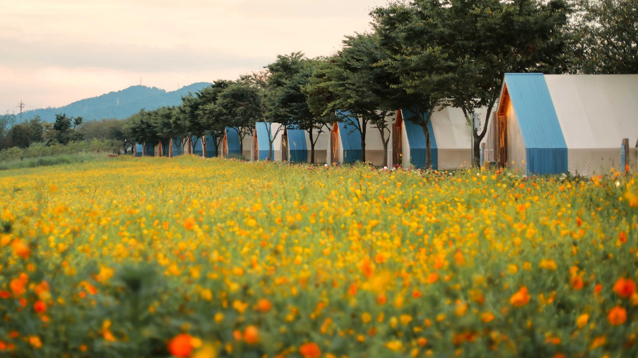 순천만 국제 정원 박람회