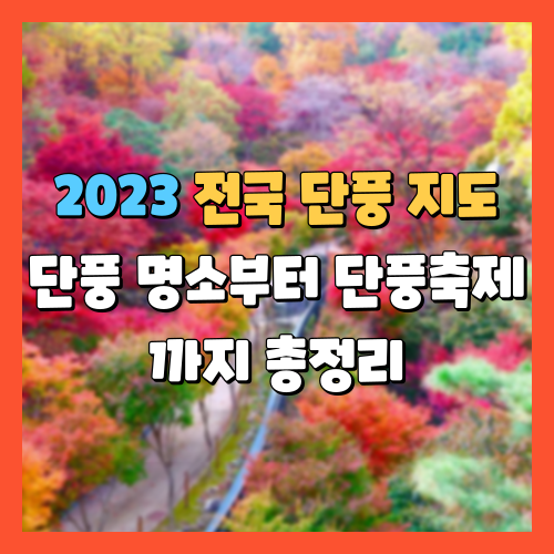 전국 단풍지도