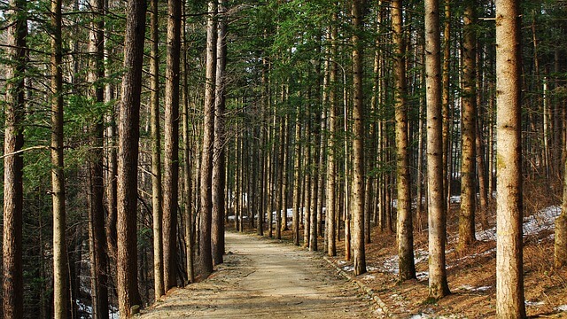 강원도 가볼만한곳 베스트10