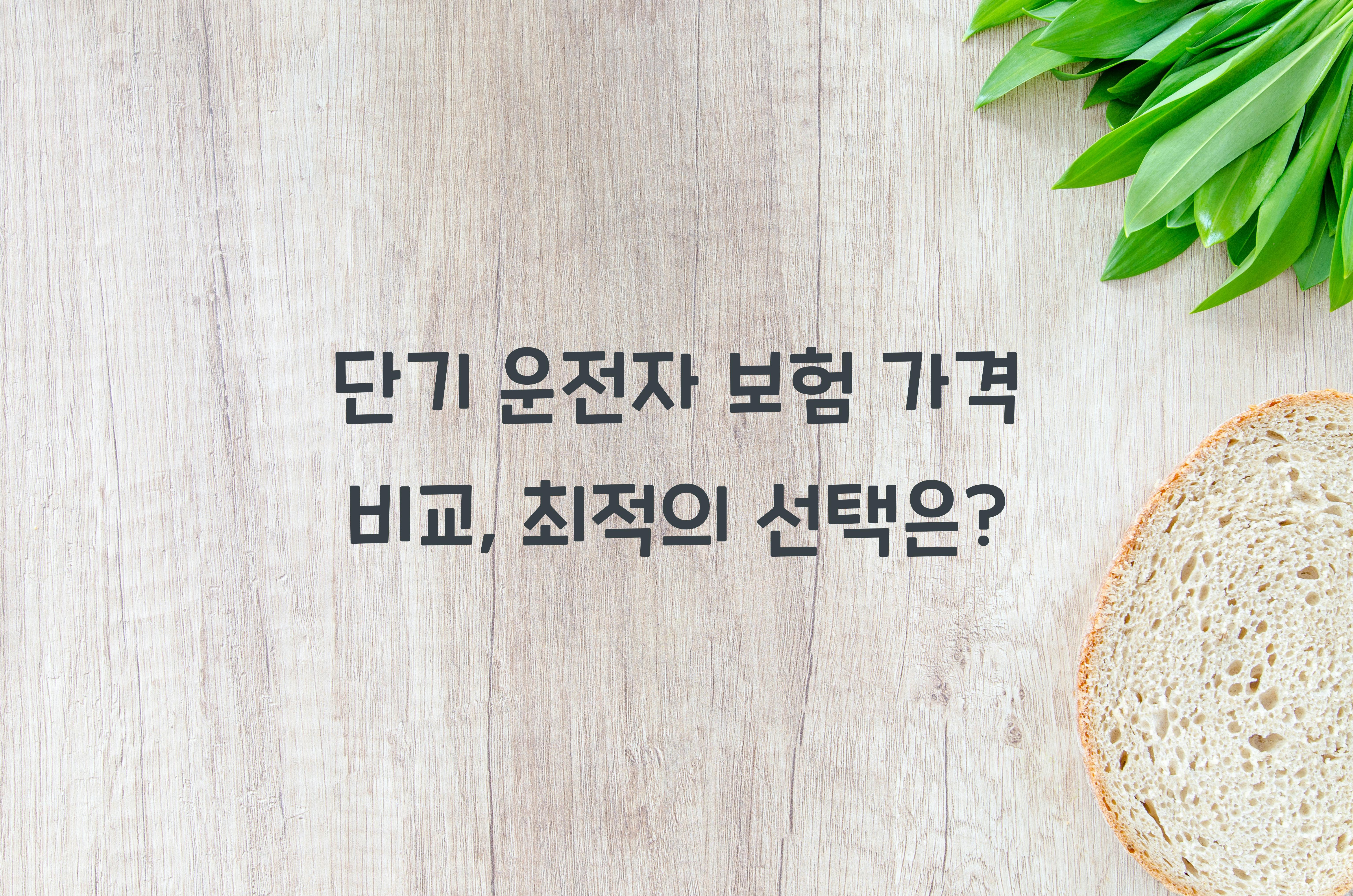 단기 운전자 보험 가격 비교
