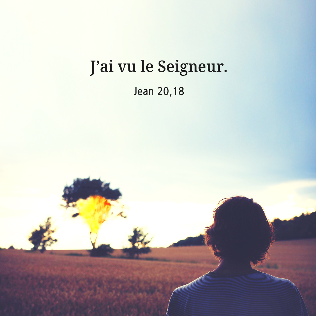 J’ai vu le Seigneur. (Jean 20,18)