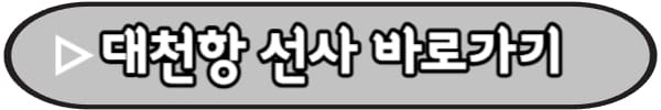 대천항-선사정보