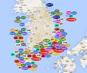 낚시 대상어 히트 시간 일출 전후 해질 무렵 밤낚시_4