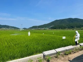 농사 병해충 예방법 진딧물 응애 노균병 탄저병 대처_16
