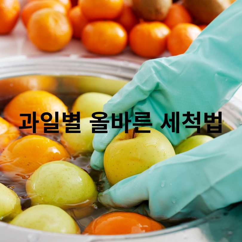 과일별 세척법 총정리