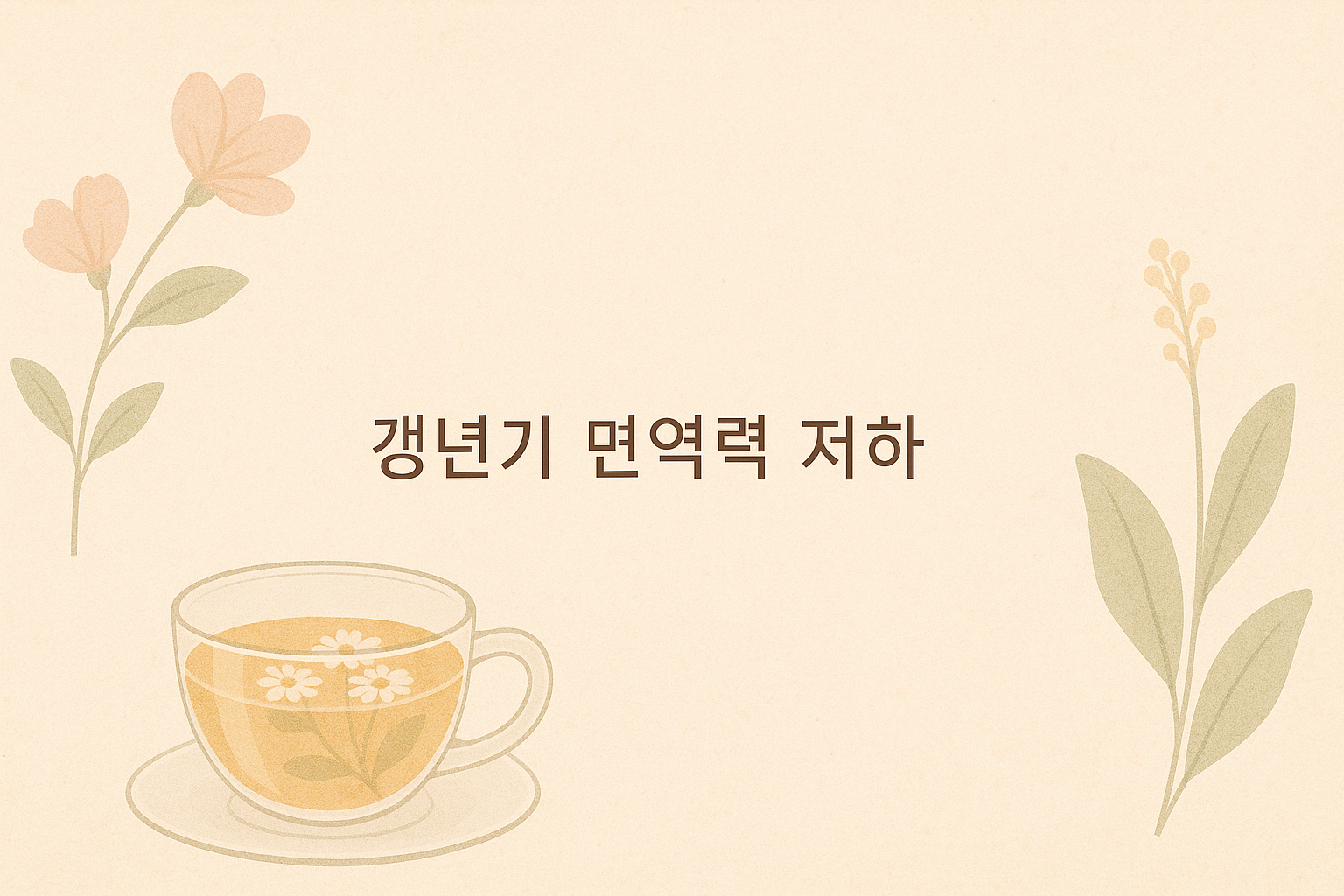 갱년기 면역력저하 관련 이미지