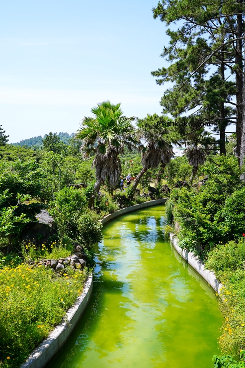 7월 축제 가볼만한곳 10곳