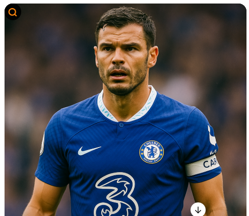 2024유럽수비수TOP5리그별비교사진