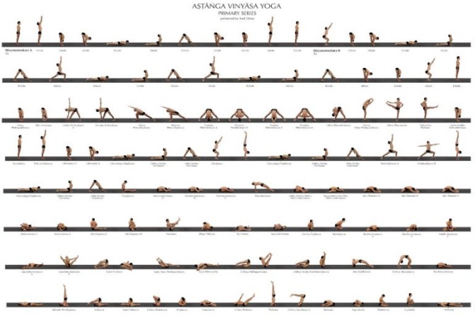 전문 요가 학교 및 아카데미