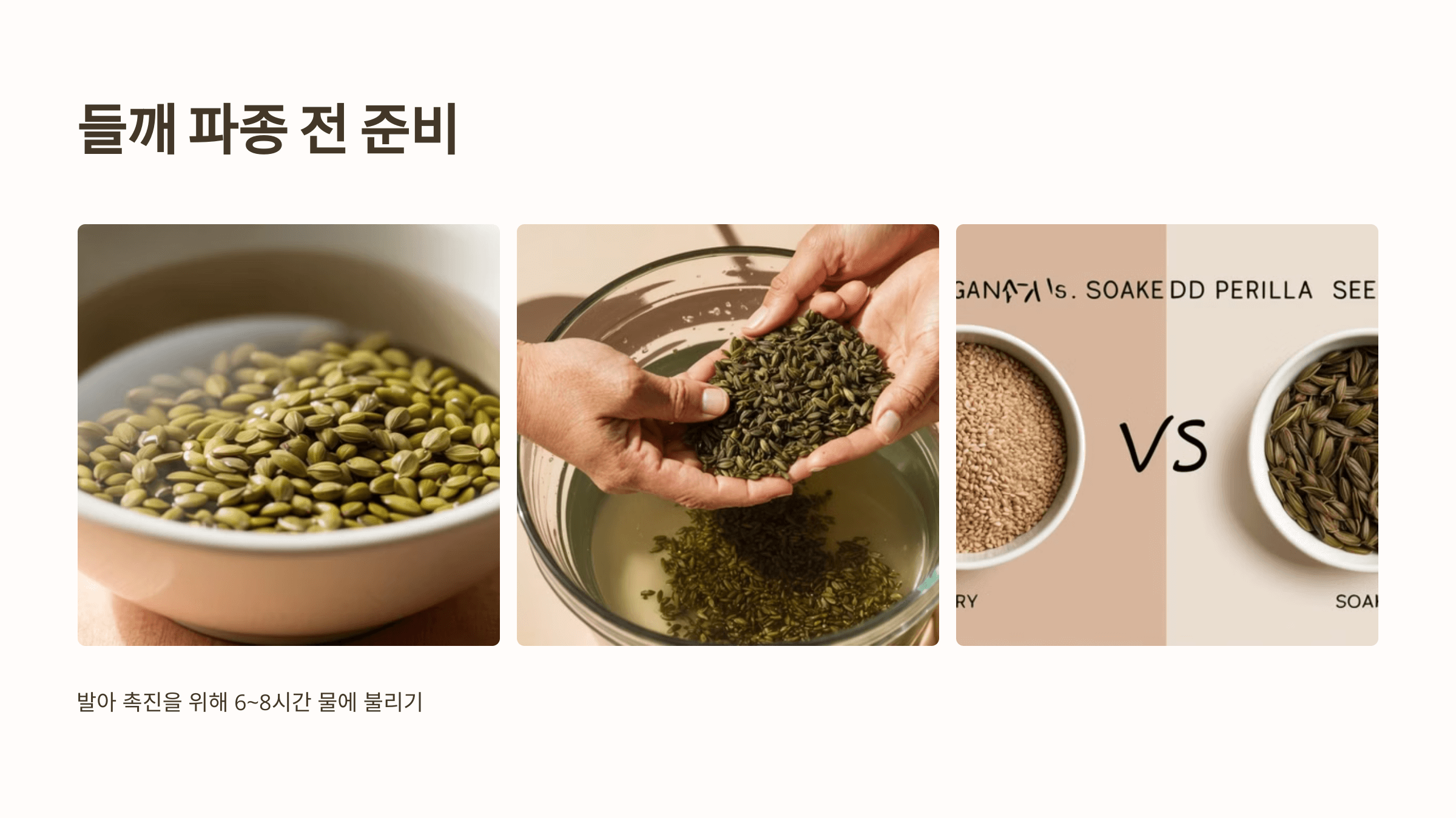 들깨 사진입니다.