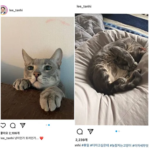 이탄희 국회의원