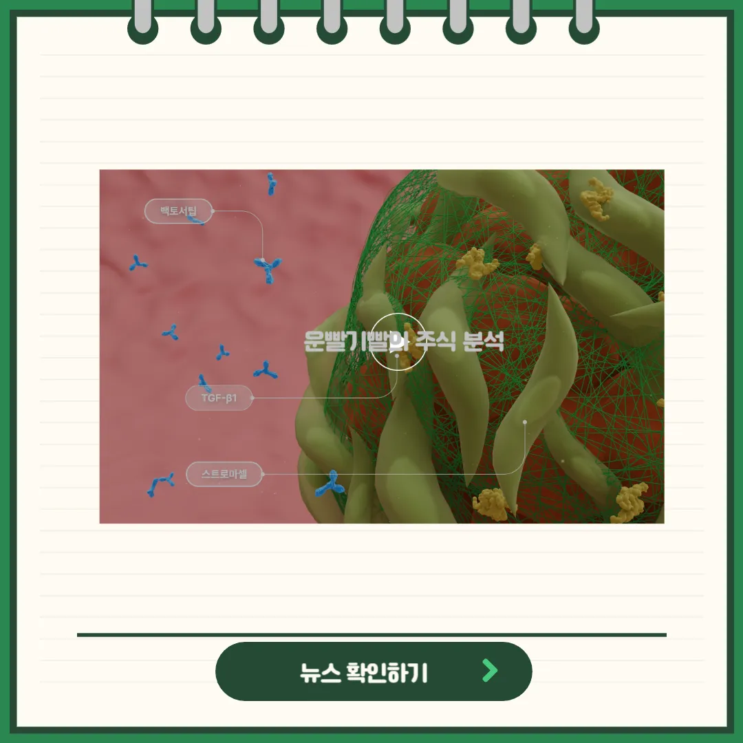 메드팩토 뉴스