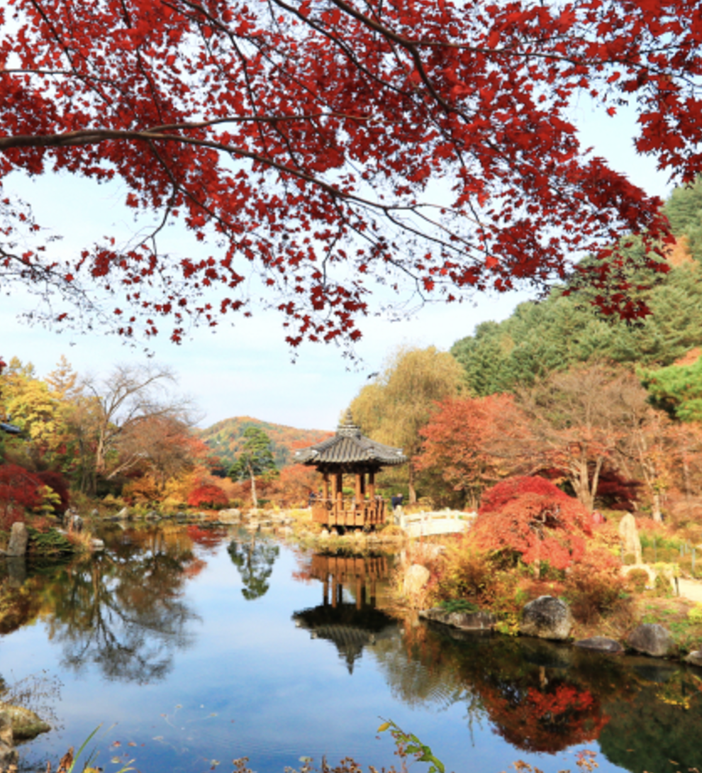 아침고요수목원의 사계절