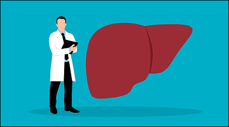 간 모형 옆에 의사가 서 있는 모습