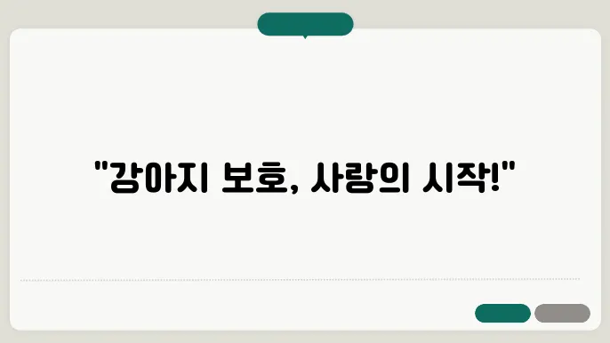 일산강아지보호소 컴투펫위탁보호센터
