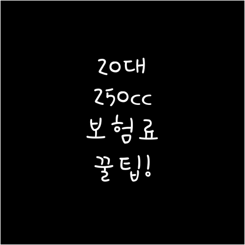 250cc 오토바이 보험료 20대 초..