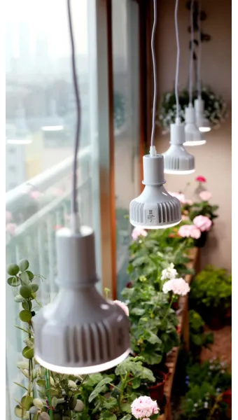 식물등 설치 위치높이 시간대설정 광량부족 해결 겨울철 성장 돕기_5