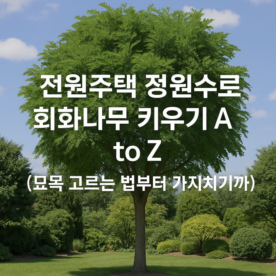 전원주택 정원수로 회화나무 키우기 A to Z (묘목 고르는 법부터 가지치기까지)