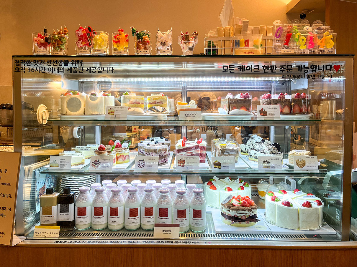 슬로우터틀 동성로점 쇼케이스